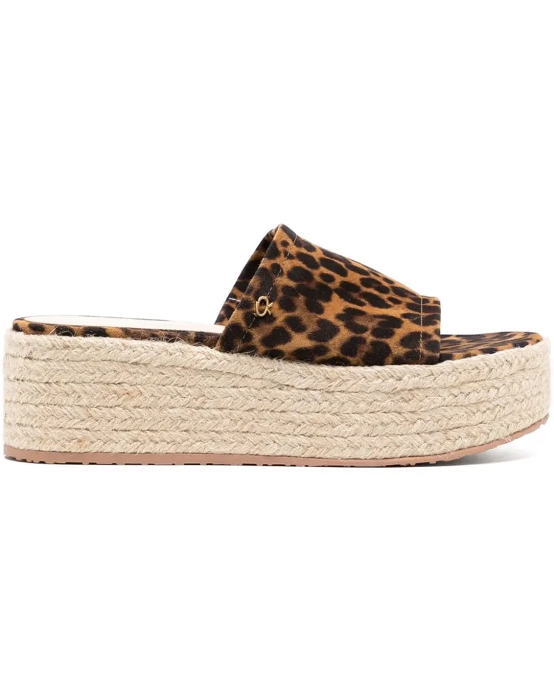 Gianvito Rossi Plateau-Espadrilles mit Leoparden - Braun Braun