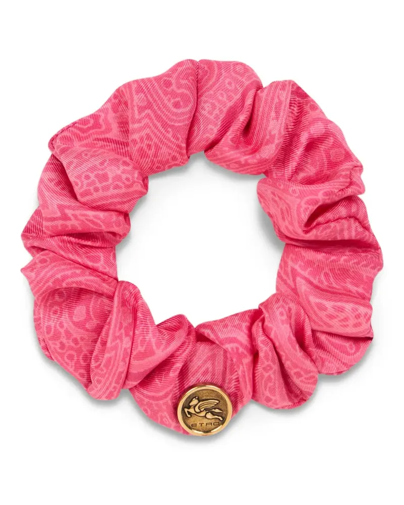 Etro Arnica Haargummi aus Seide - Rosa Rosa