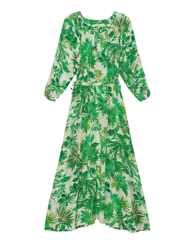 Maliparmi Midikleid mit Blumen-Print - Grün Grün