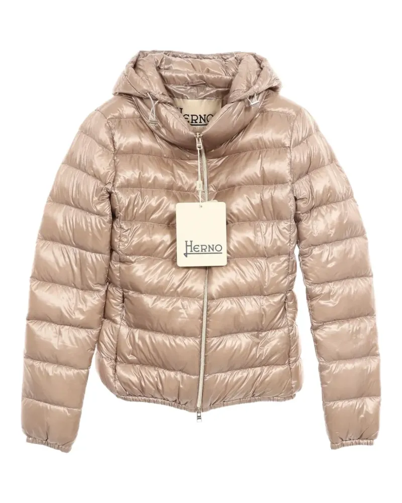 Herno 2020 Iconico hooded down jacket - Nude Nude