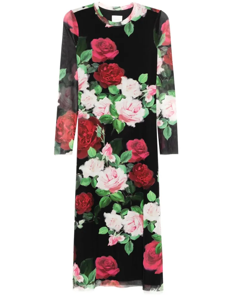 Johnny Was Lolia Mesh-Kleid - Schwarz Schwarz