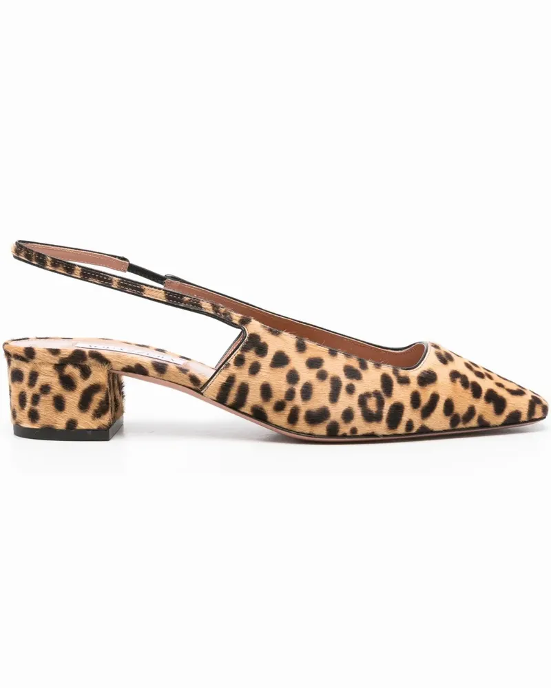 Aquazzura Ginza Pumps 40mm - Braun Braun