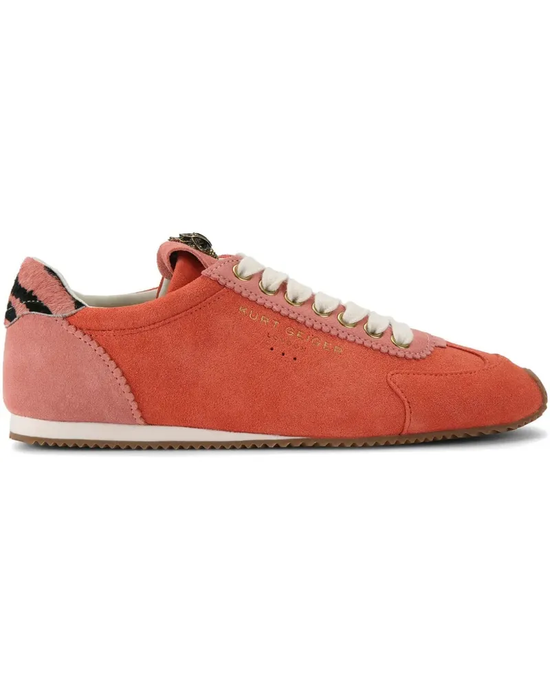 Kurt Geiger Islington Sneakers - Orange Orange