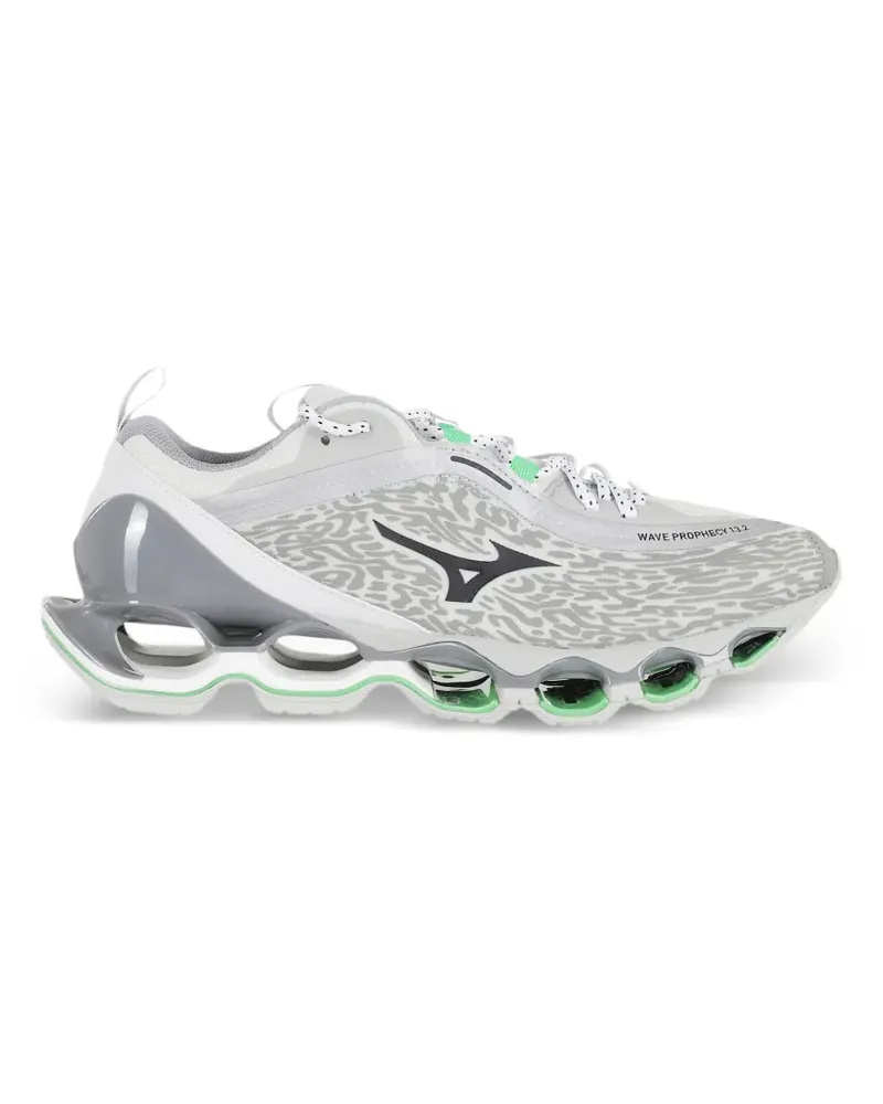 Mizuno Wave Prophecy 13.2 Sneakers - Grau Grau