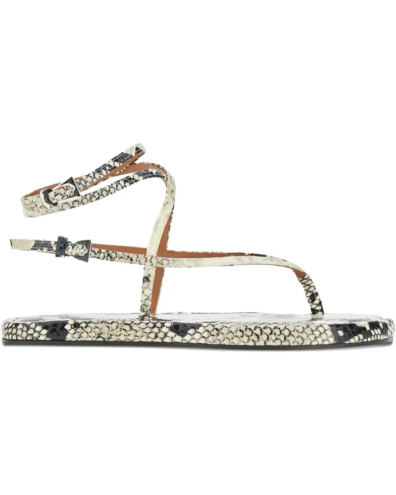 Paris Texas Flache Hydra Sandalen - Nude Nude