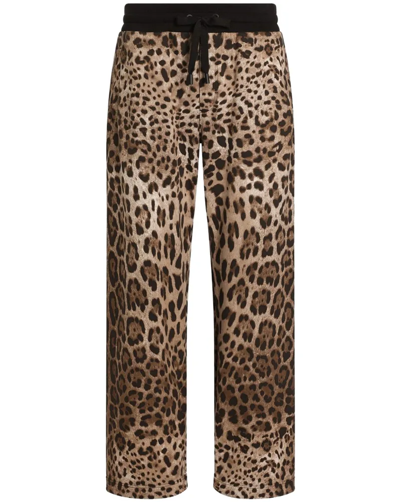 Dolce & Gabbana Jogginghose mit Leoparden-Print - Braun Braun