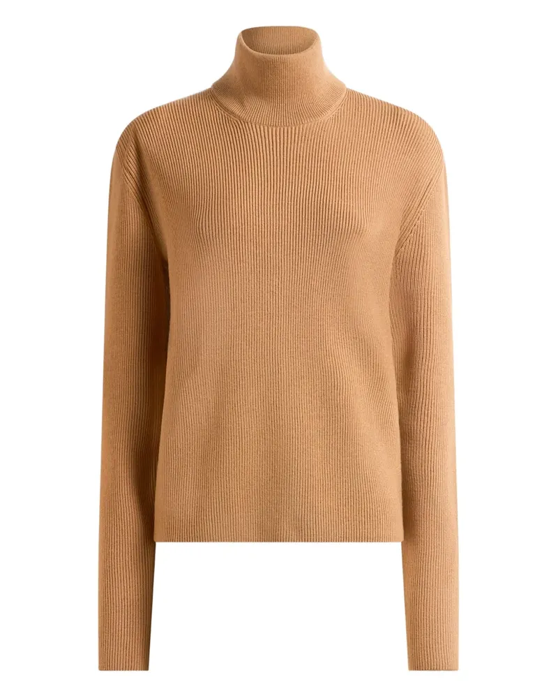 Etro Klassischer Pullover - Braun Braun