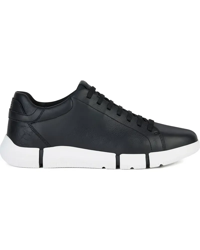 Geox Adacter Sneakers aus Leder - Schwarz Schwarz