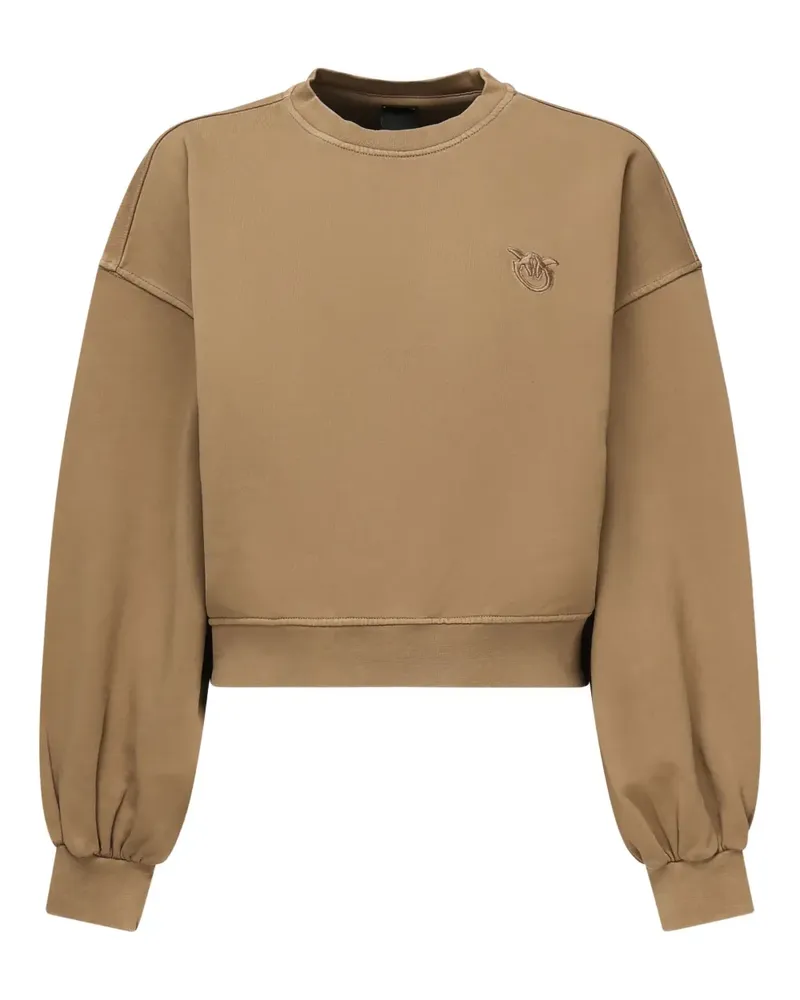 Pinko Besticktes Sweatshirt - Braun Braun