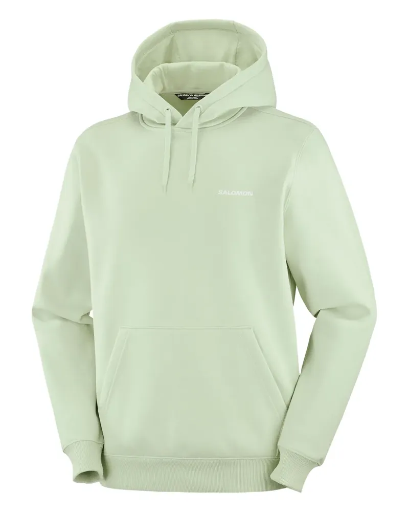 Salomon Hoodie mit Logo - Grün Grün