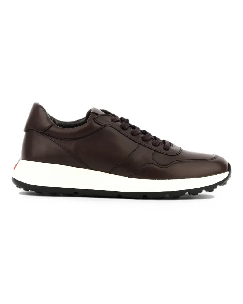 TOD'S Red Dot Sneakers - Braun Braun