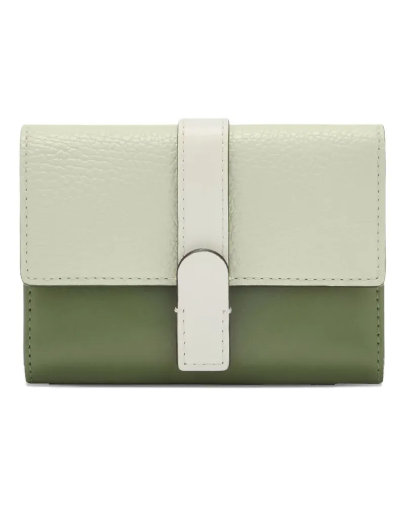 Furla Zweifarbiges Grazia Portemonnaie - Grün Grün