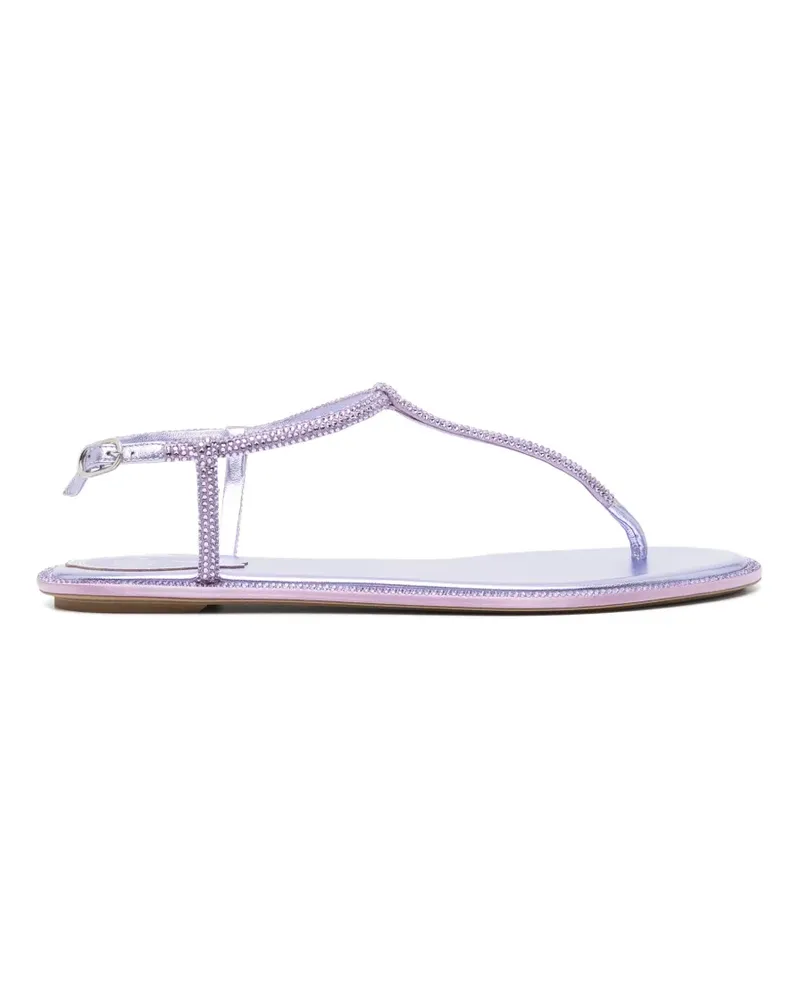 René Caovilla Diana sandals - Violett Violett