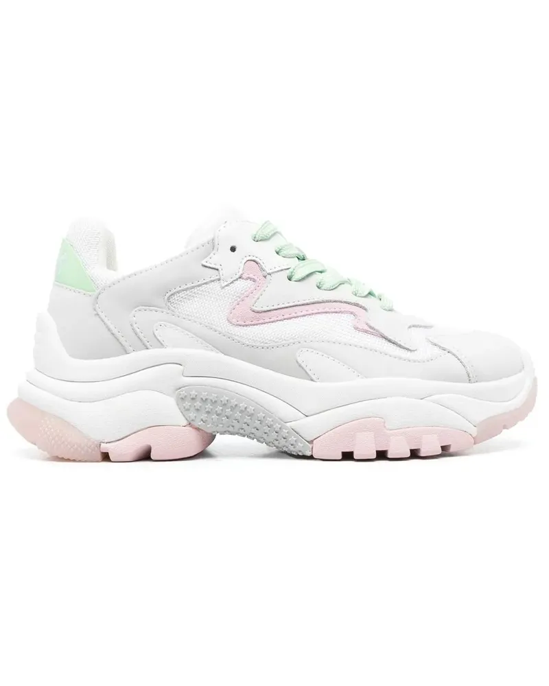 ash Addict Sneakers - Grau Grau