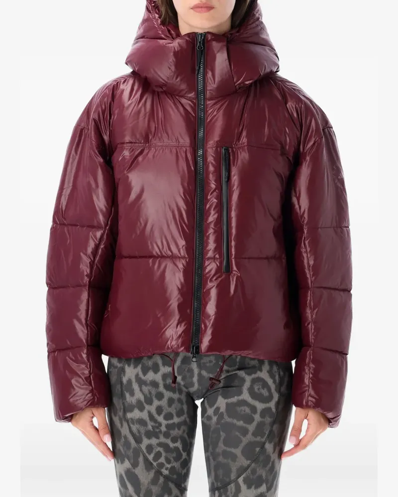adidas Gesteppte Kapuzenjacke - Rot Rot