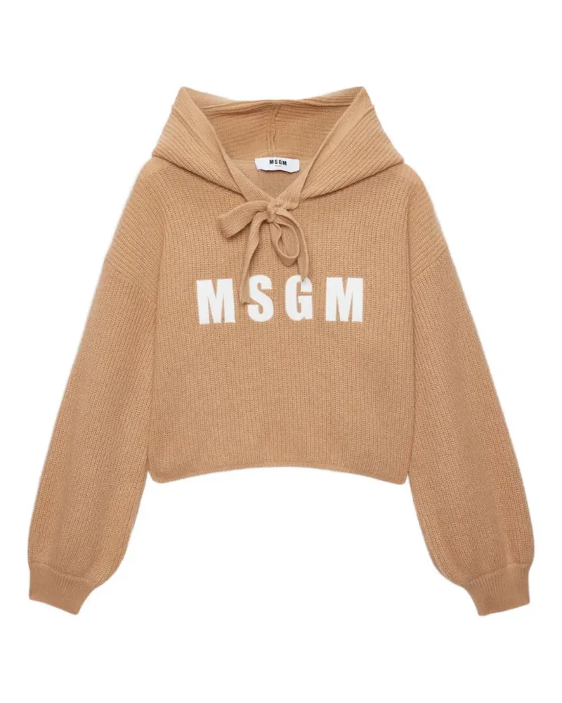 MSGM Sweaters - Braun Braun