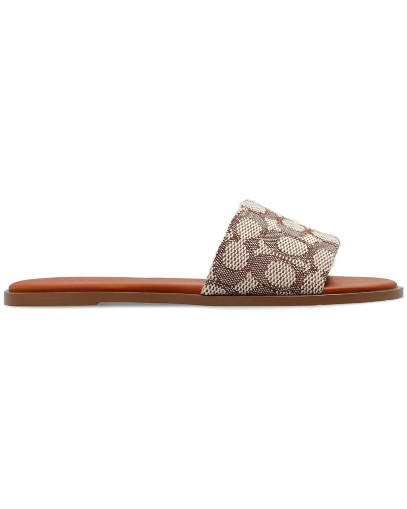 Coach Sandalen mit Print - Nude Nude