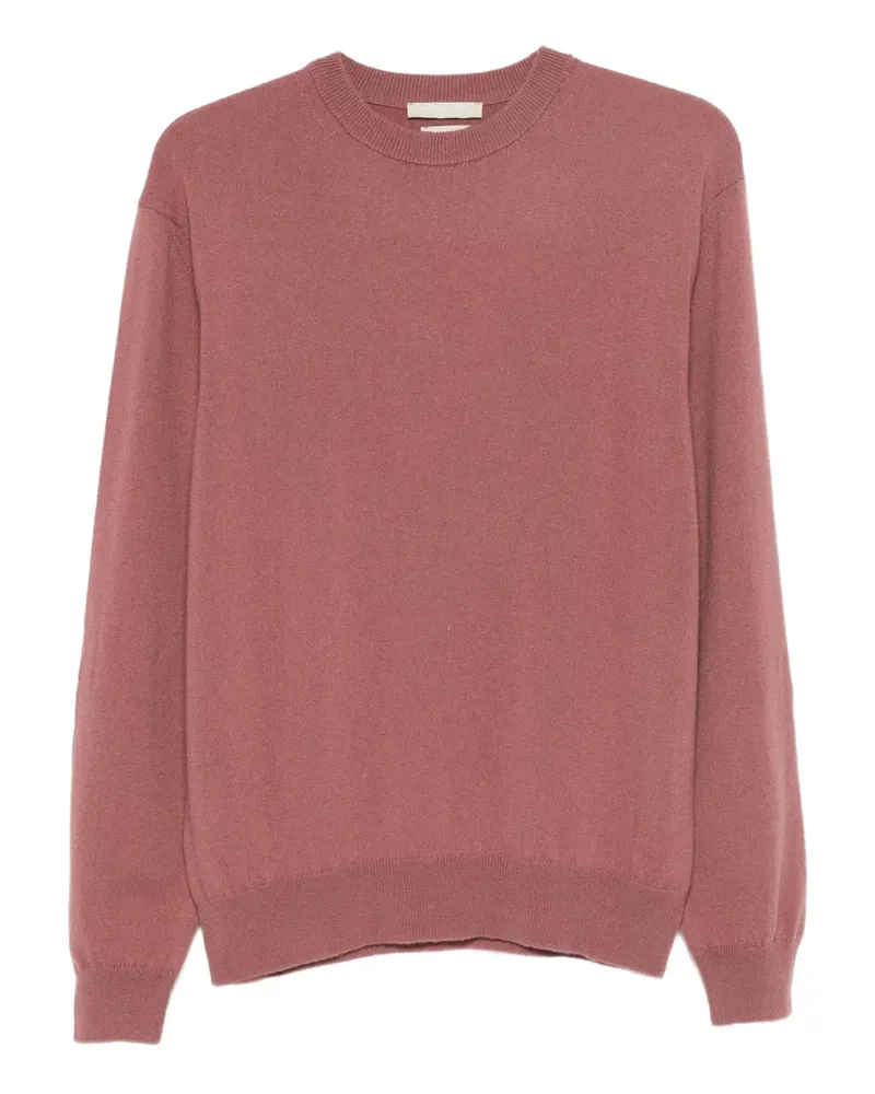 Daniele Fiesoli Pullover mit Rundhalsausschnitt - Rosa Rosa