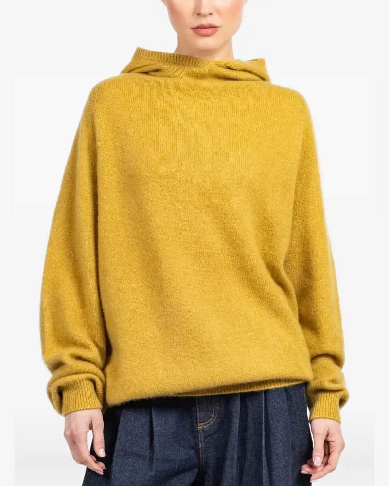 Frenckenberger hooded sweater - Gelb Gelb