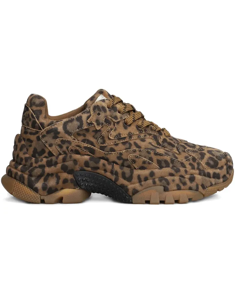 ash animal-print sneakers - Braun Braun