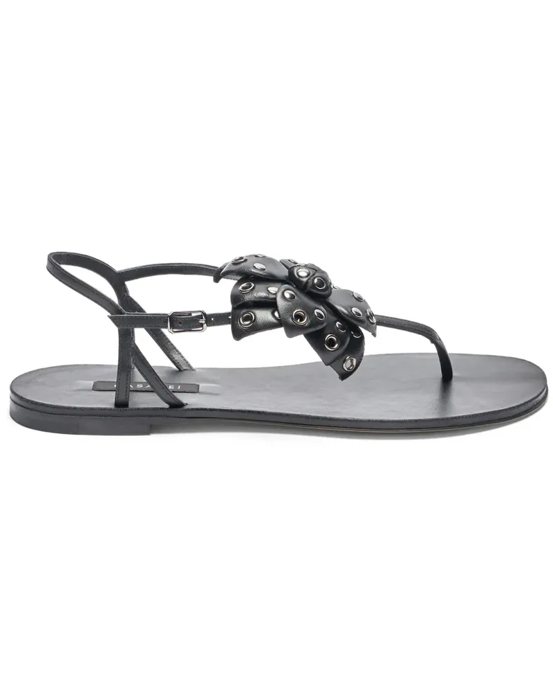Casadei Flache Sandalen mit Nieten - Schwarz Schwarz