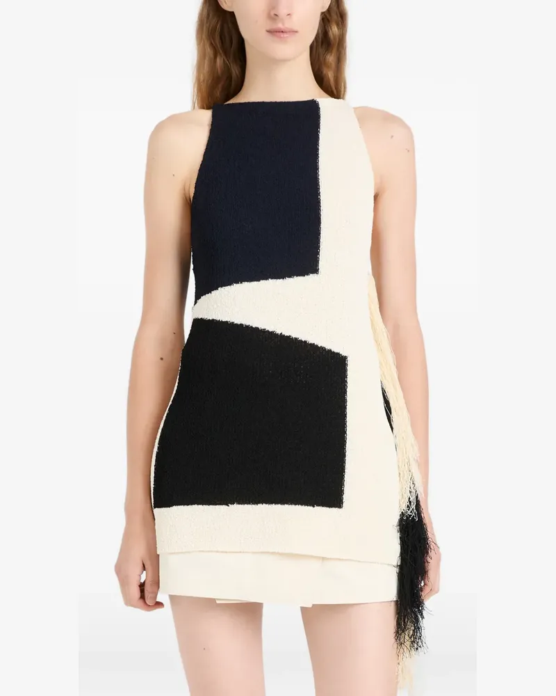 Proenza Schouler Saskia fringe-trimmed intarsia-knit top - Nude Nude