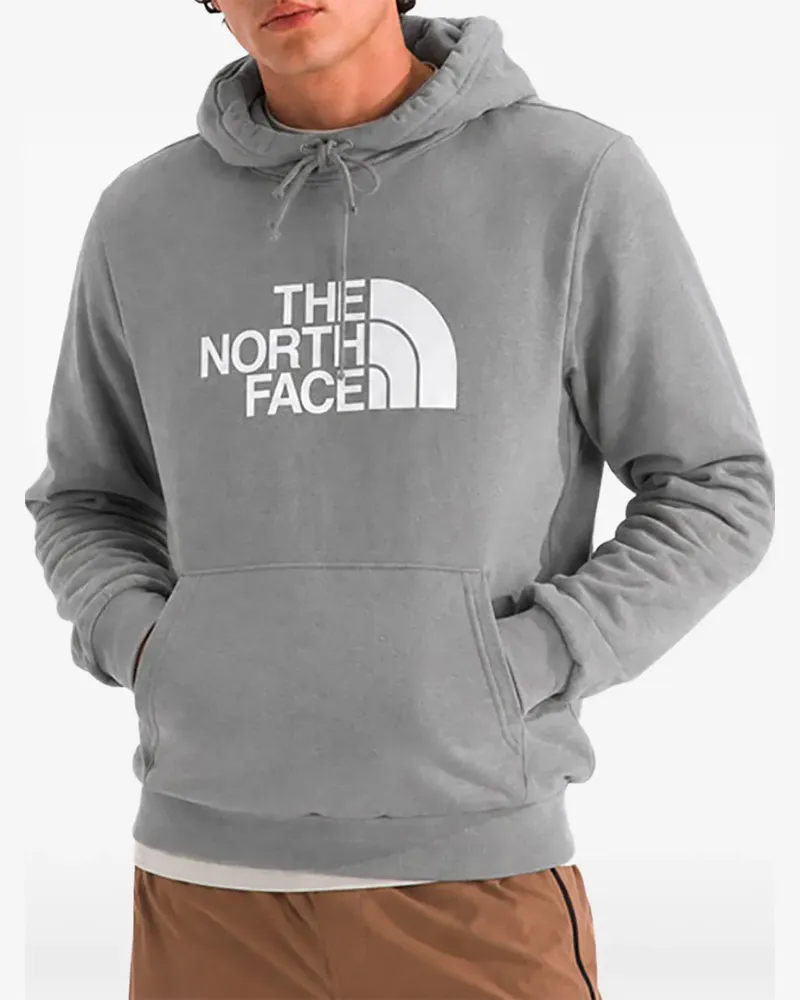 The North Face Evolution Box Half Dome Hoodie - Grau Grau