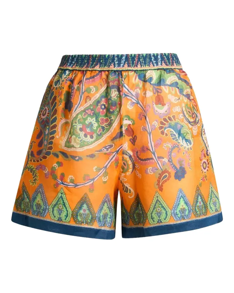 Etro Shorts mit Print - Orange Orange