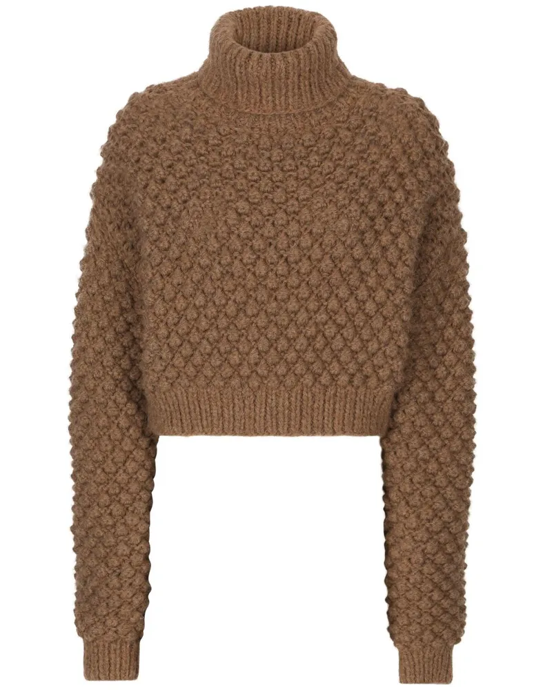 Dolce & Gabbana Cropped-Pullover mit Rollkragen - Braun Braun