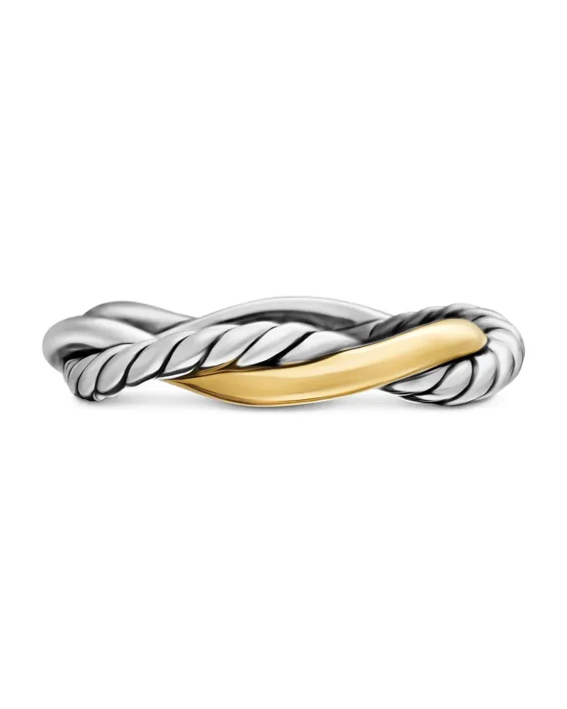David Yurman 14kt Petite Infinity Gelbgoldring (4mm) - Silber Silber