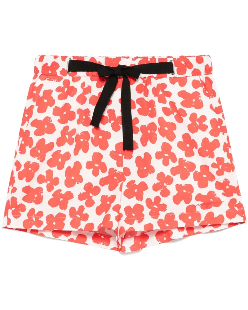 MSGM Shorts mit Blumen-Print - Rot Rot