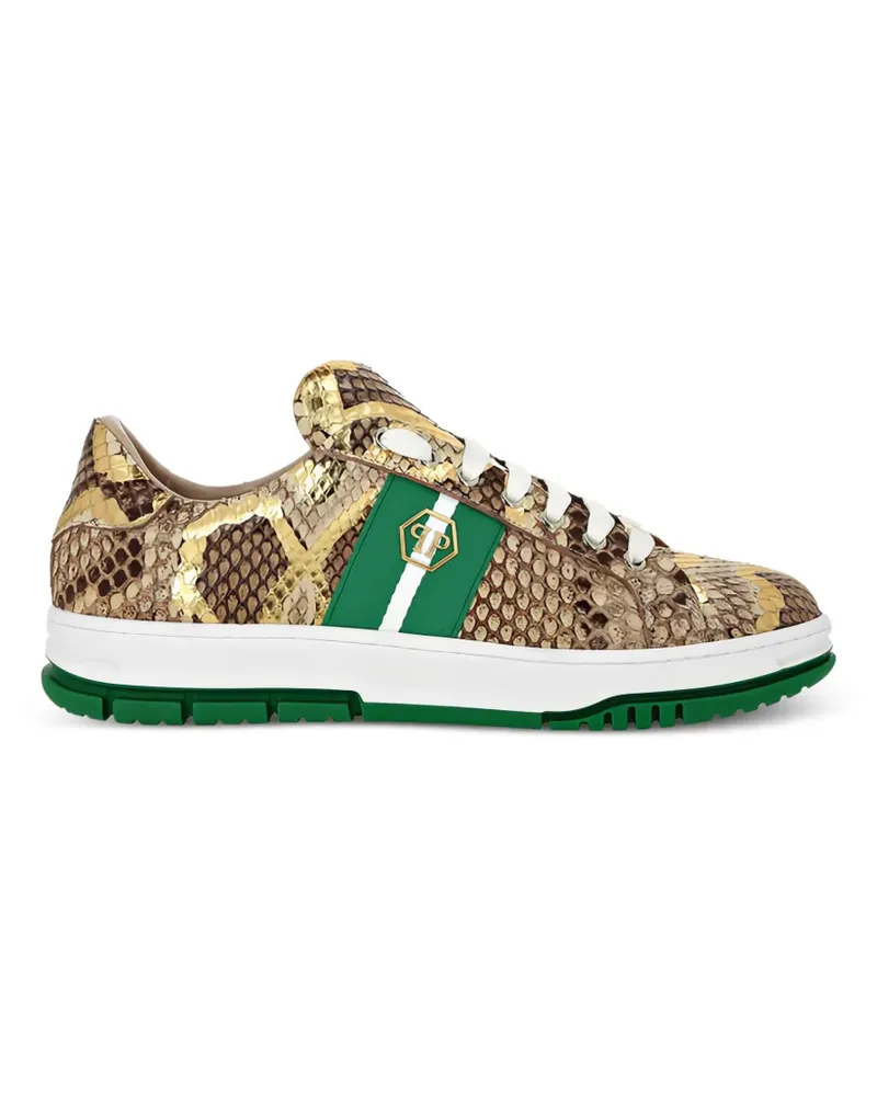Philipp Plein Sneakers aus Pythonleder - Braun Braun
