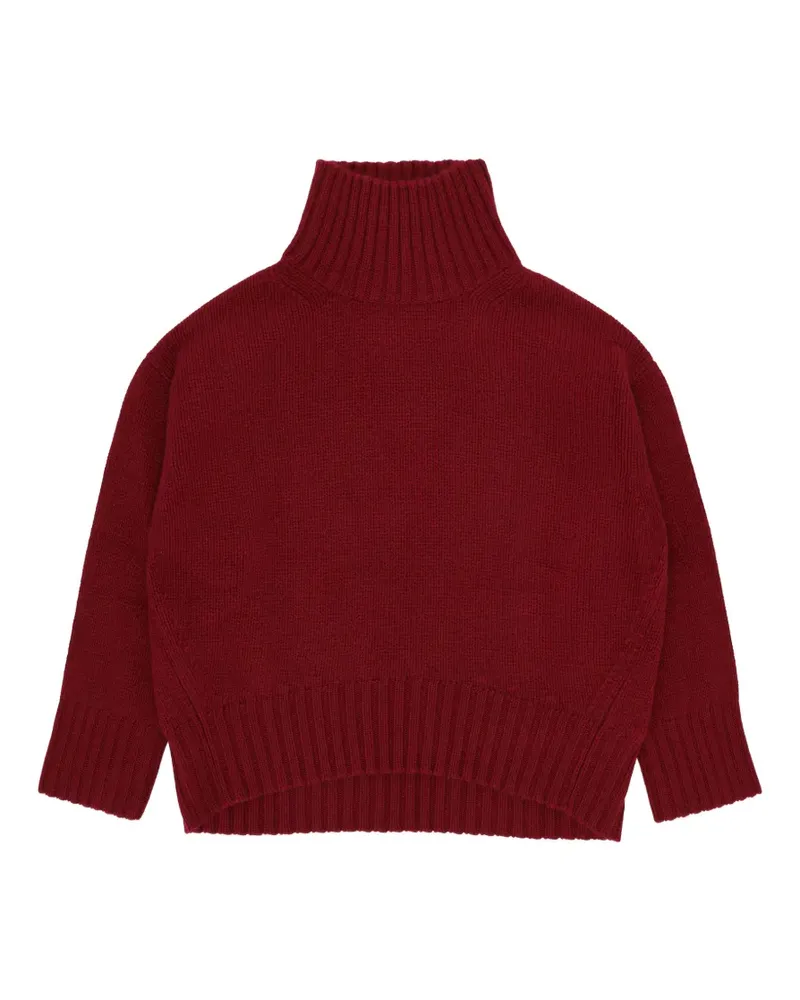 Fortela high-neck cashmere sweater - Rot Rot