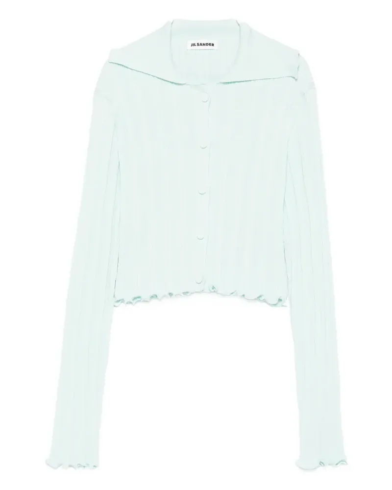 Jil Sander Klassischer Cardigan - Blau Blau
