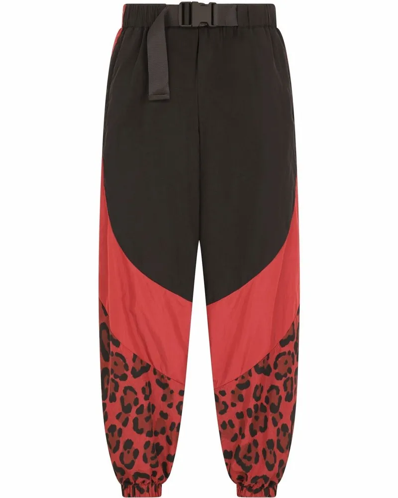 Dolce & Gabbana Hose mit Leoparden-Print - Schwarz Schwarz