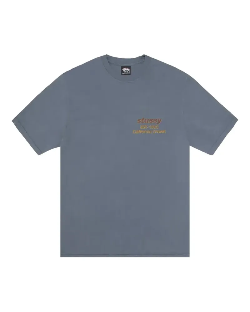 Stüssy Klassisches T-Shirt - Blau Blau
