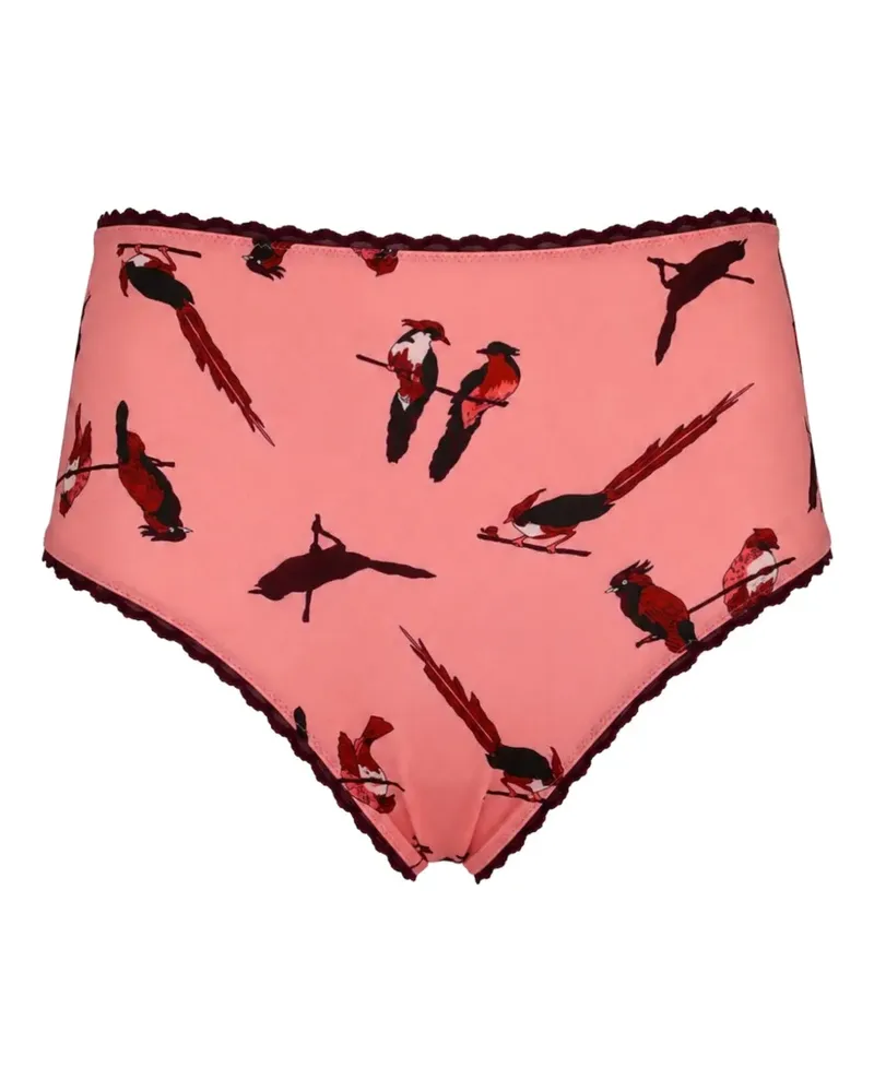 Laura Urbinati Slip mit Vogel-Print - Rosa Rosa