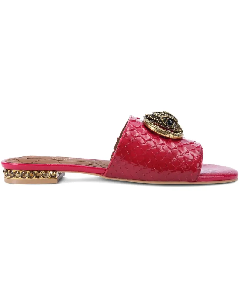 Kurt Geiger Flache Chelsea Sandalen mit Schnalle - Rosa Rosa