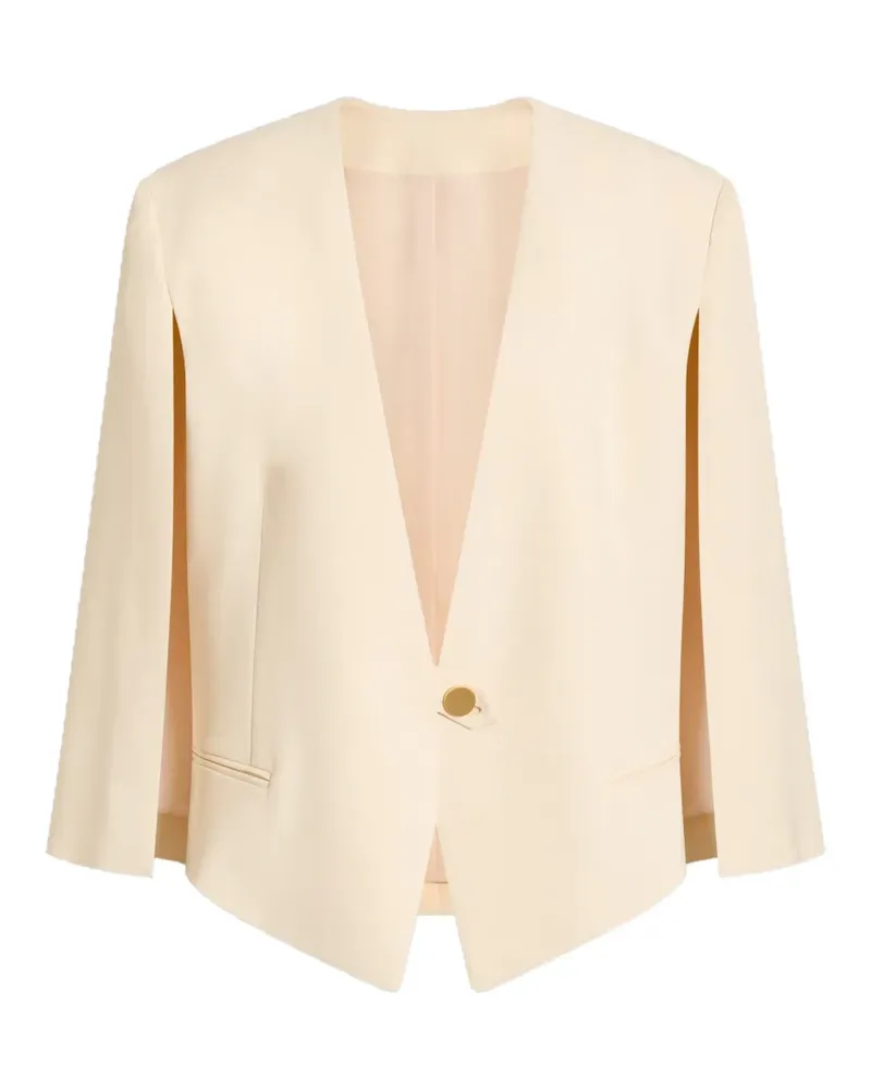 Alberta Ferretti Einreihiger Blazer mit V-Ausschnitt - Nude Nude