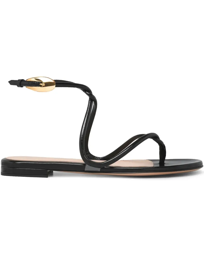 Gianvito Rossi Black Mamba Sandalen - Schwarz Schwarz