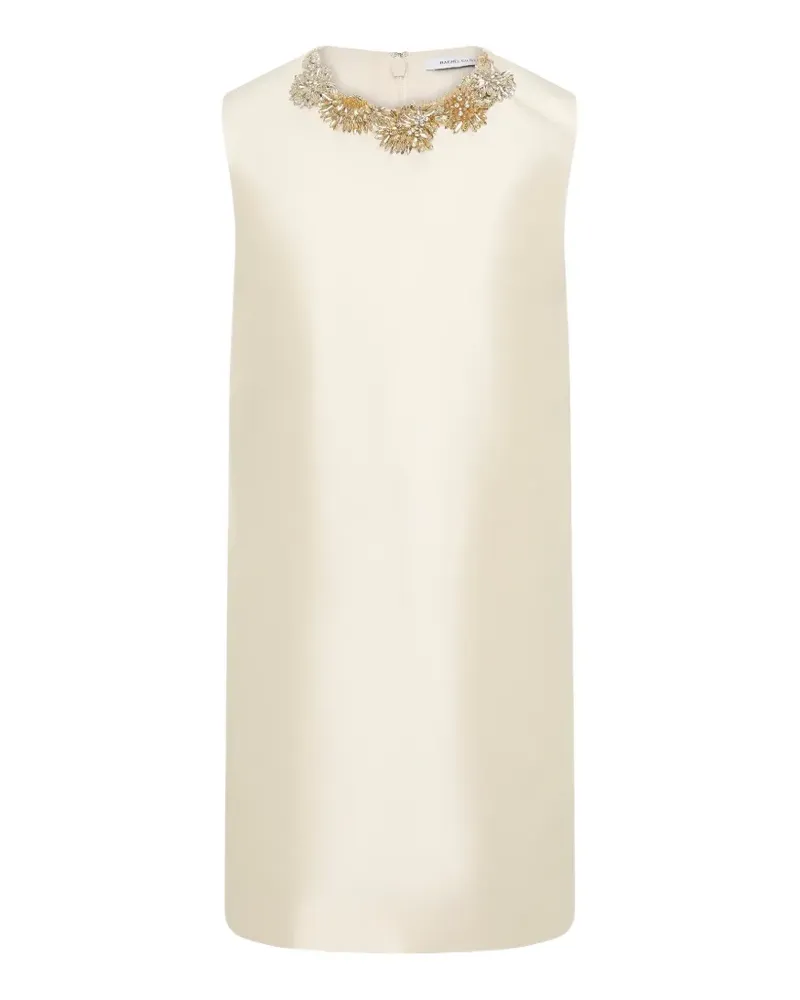Rachel Gilbert Ludovica embellished mini dress - Nude Nude