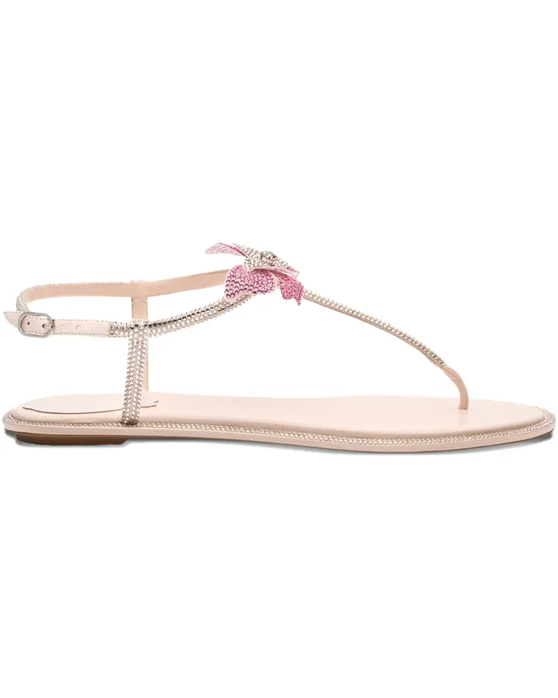 René Caovilla Flache Fairy Sandalen - Rosa Rosa