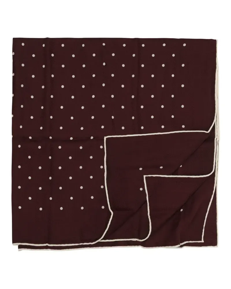 Destin polka-dot wool scarf - Braun Braun