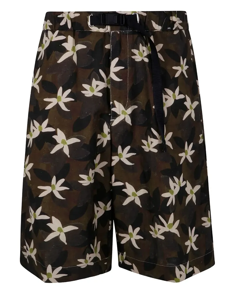 PLAN C Shorts mit Print - Grün Grün