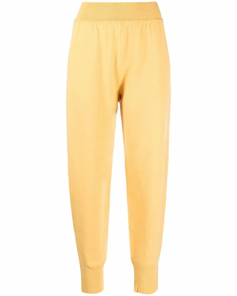 Alberta Ferretti Gestrickte Jogginghose - Gelb Gelb