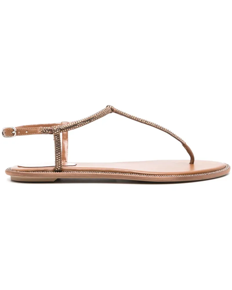 René Caovilla Diana Sandalen - Braun Braun