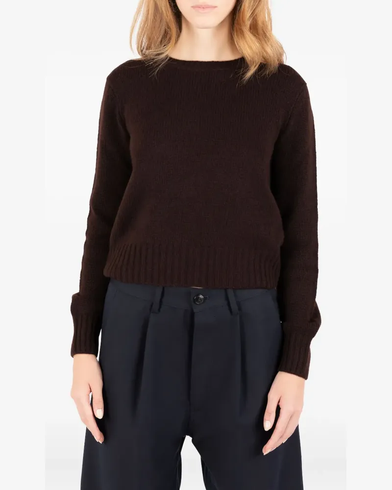 Société Anonyme Scarlett Pullover - Braun Braun