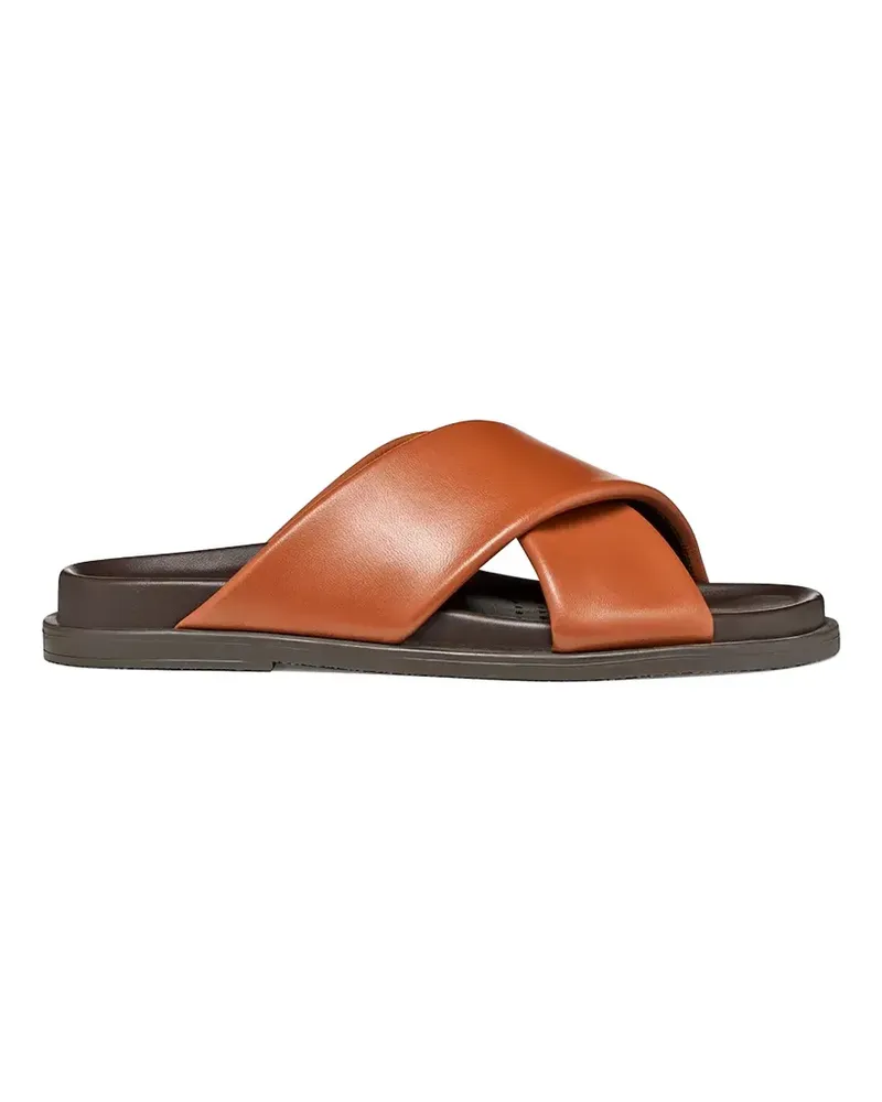 Geox Adelash cross-strap leather slides - Braun Braun