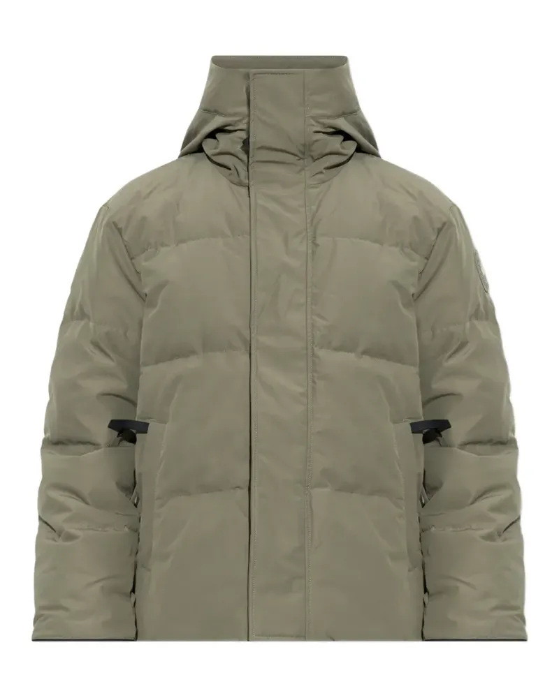 Canada Goose Seymour Jacke mit Stehkragen - Grün Grün