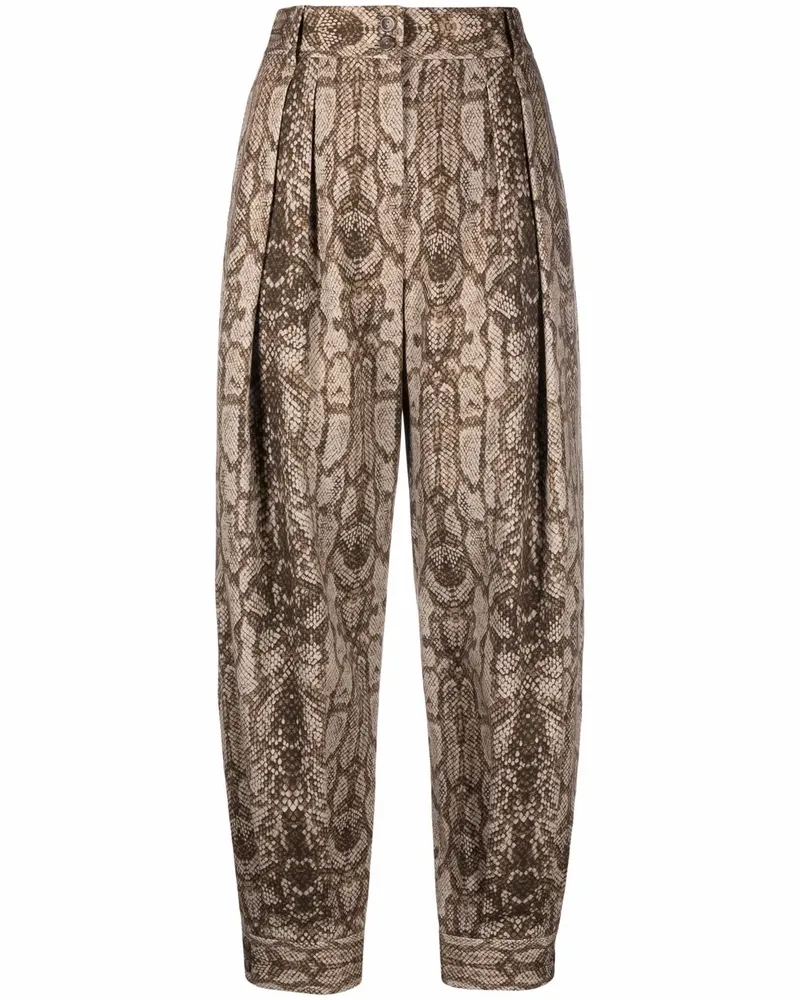 Alberta Ferretti Hose mit Schlangen-Print - Braun Braun